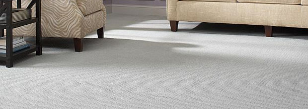 Michigan Carpet Prices